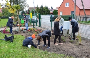 Święto Pieczonego Ziemniaka