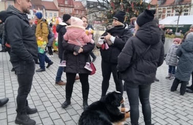 Jarmark Świąteczny 2024