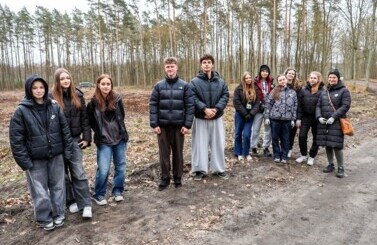 Las na Nowe 100-lecie