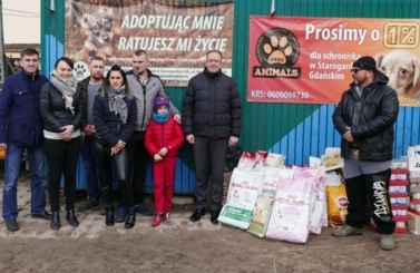 Pomoc dla schroniska