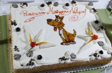Pomoc dla schroniska