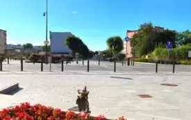 Gwiazdek podróżnik 6