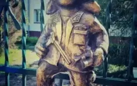 Gwiazdek Leśnik 6