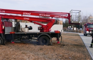 Gramy dla Ani