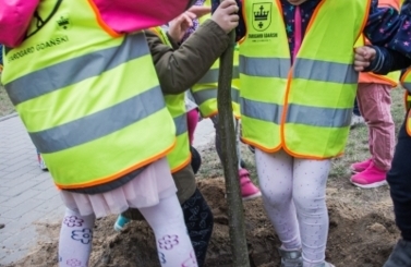 Akcja sadzenie drzew na 100-lecie niepodległości