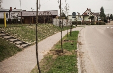 Akcja sadzenie drzew na 100-lecie niepodległości