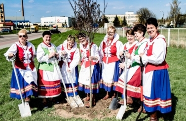 Akcja sadzenie drzew na 100-lecie niepodległości