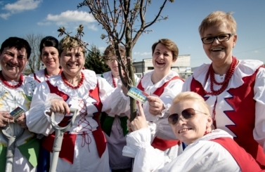Akcja sadzenie drzew na 100-lecie niepodległości