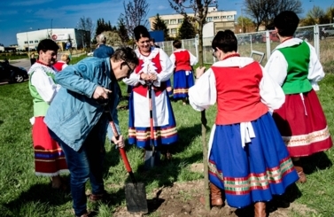 Akcja sadzenie drzew na 100-lecie niepodległości