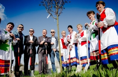 Akcja sadzenie drzew na 100-lecie niepodległości