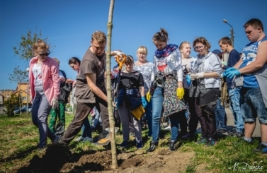 Akcja sadzenie drzew na 100-lecie niepodległości