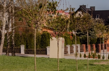 Akcja sadzenie drzew na 100-lecie niepodległości
