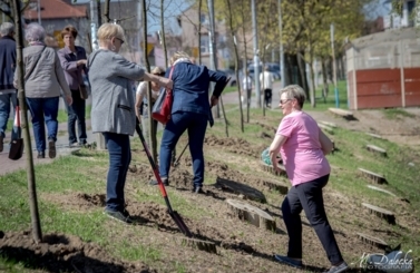 Akcja sadzenie drzew na 100-lecie niepodległości