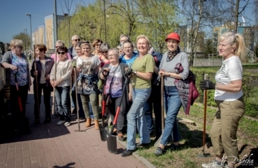 Akcja sadzenie drzew na 100-lecie niepodległości