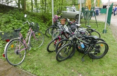 Piknik Rodzinny w Strzelnicy