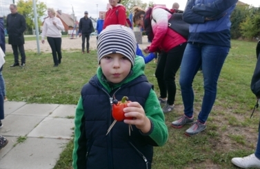 Święto Pieczonego Ziemniaka w Fiku-Miku