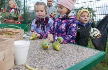 Święto Pieczonego Ziemniaka w Fiku-Miku