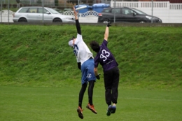 Frisbee 