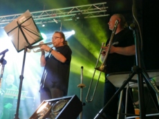 Koncert dla Tosi