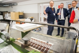 Merkury Ateliers