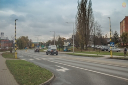 Żyrafy na przejściach