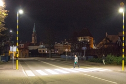 Żyrafy na przejściach