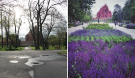 Park Miejski wyr&oacute;zniony