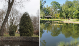 Park Miejski wyr&oacute;zniony