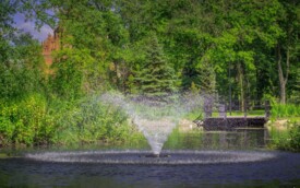 Park Miejski wyr&oacute;zniony