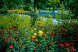 Park Miejski wyr&oacute;zniony