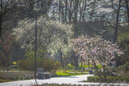 Park Miejski wyr&oacute;zniony