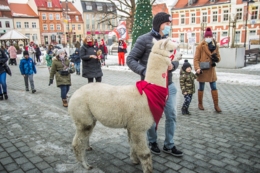29.finał WOSP