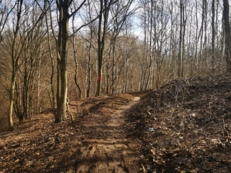 Tor dla BMX