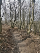 Tor dla BMX
