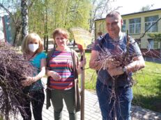 ŚDŚ