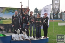 ZooBajka Flyball Cup 2017