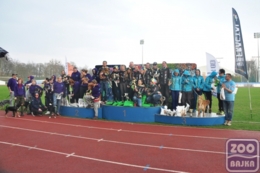ZooBajka Flyball Cup 2017