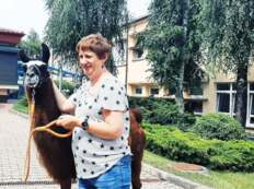 Alpakoterapia w ŚDS
