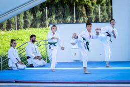 III piknik charytatywny Kociewiacy dla Hospicjum