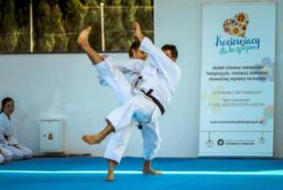 III piknik charytatywny Kociewiacy dla Hospicjum