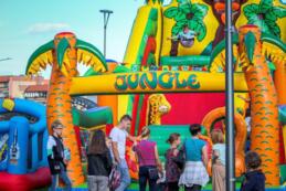 III piknik charytatywny Kociewiacy dla Hospicjum