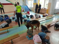 Bezpieczna droga do szkoły