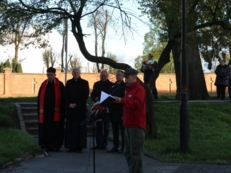 Dzień Zwycięstwa 2017