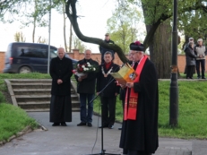 Dzień Zwycięstwa 2017