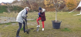 Piknik Jesienny