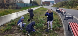 Piknik Jesienny