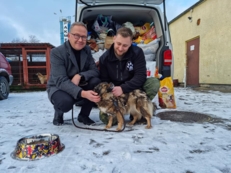 Zbi&oacute;rka karmy dla OTOZ