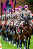 Święto Kawalerii 2022