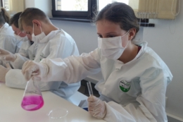 Wycieczki edukacyjne do Tczewa