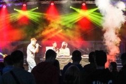 Wild Night Fest
